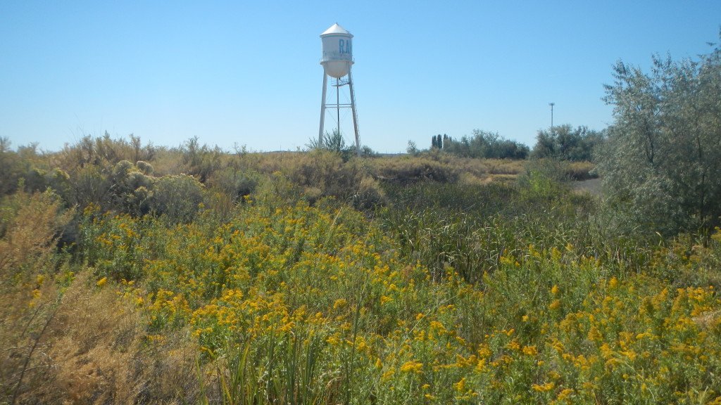 Coulee City Reservoir Project Plateau Archaeological Investigations