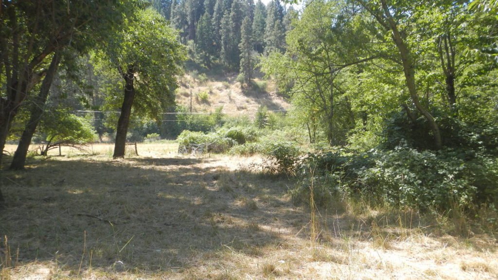 Mill Creek Road Improvements Proposed Wetlands Plateau CRM